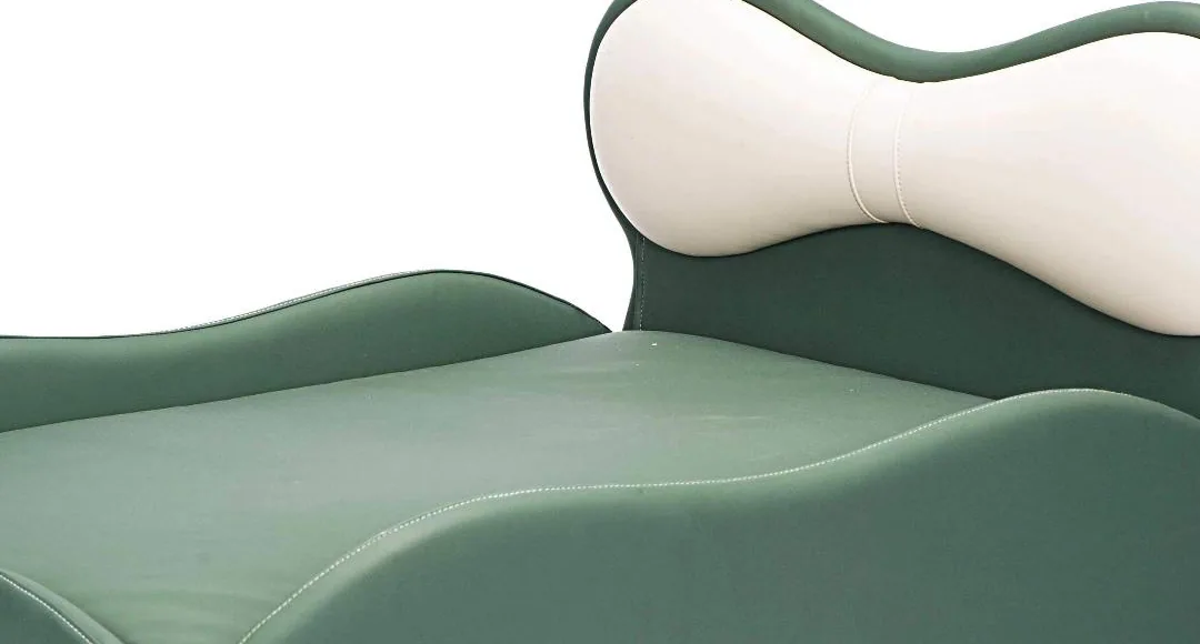 Bone-shaped headboard bolster on the green bed